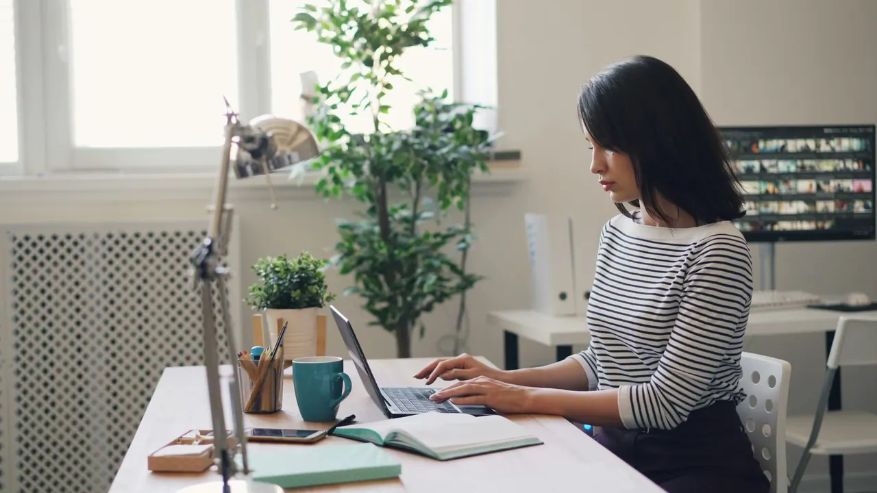 An accountant working on a laptop at a bright desk, with plants by the window