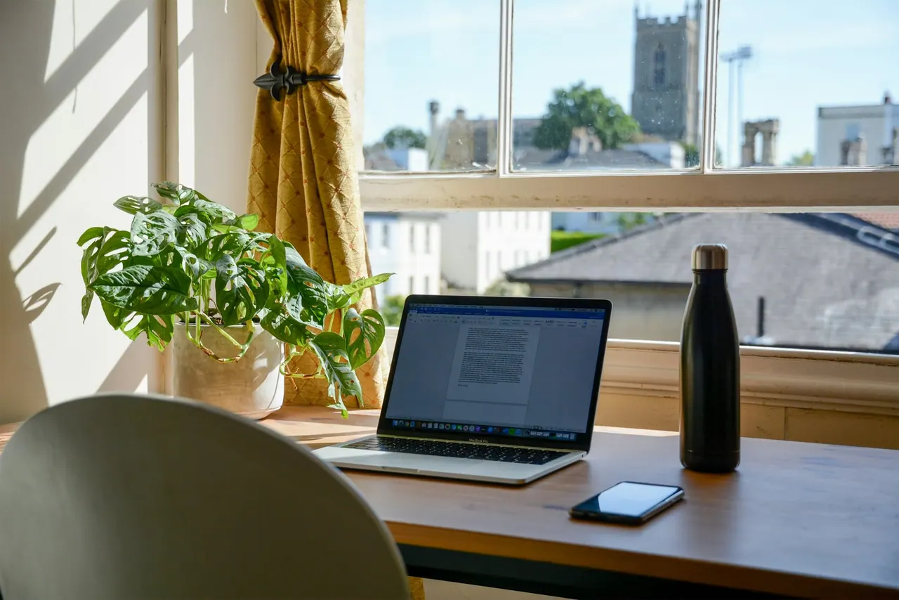 A laptop on a desk by a sunny window with plants