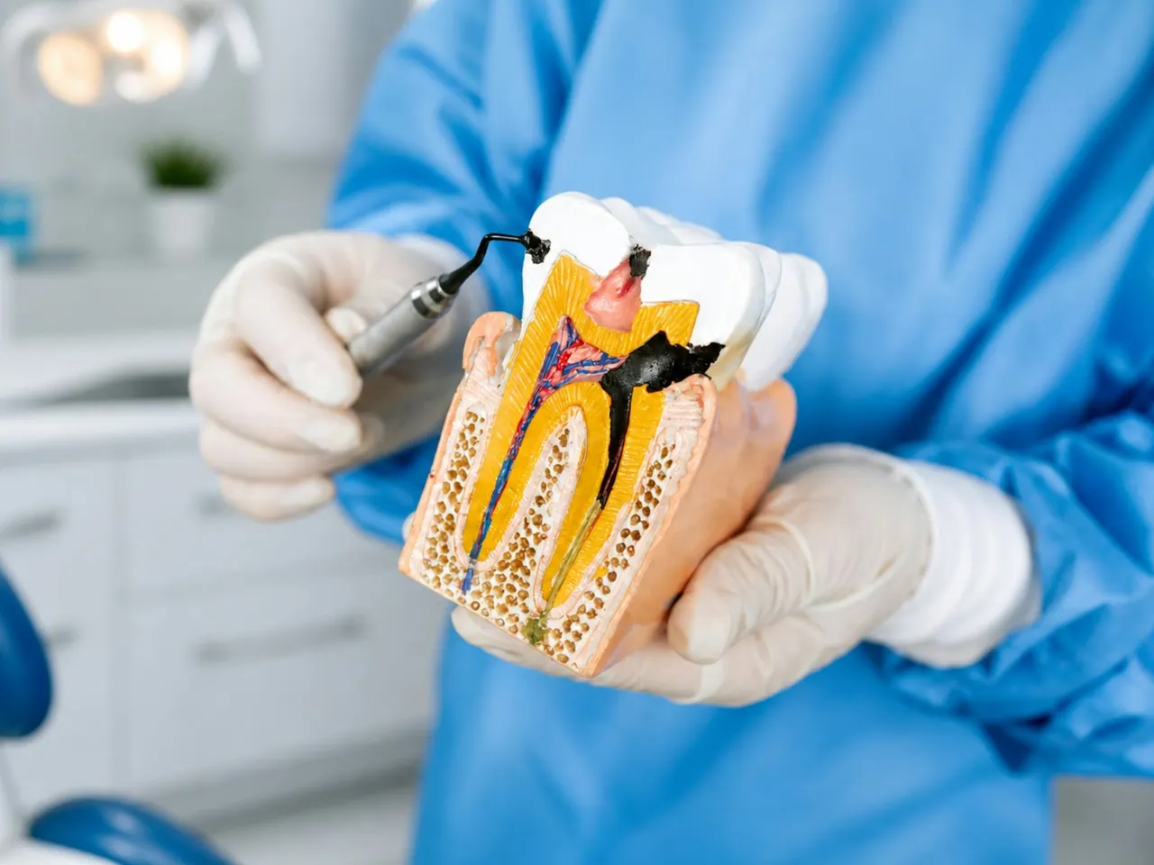 A dentist in blue scrubs explaining a cutaway model of a tooth