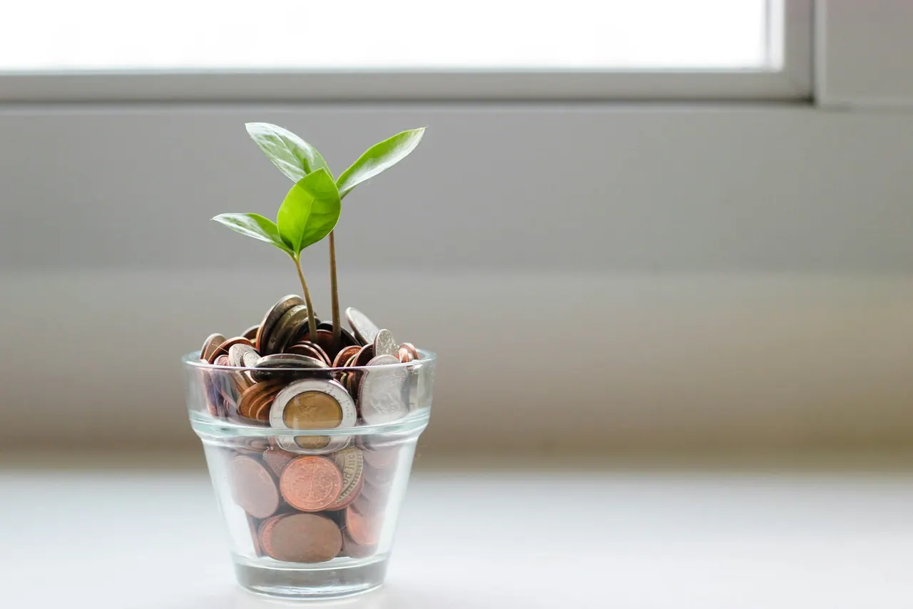 A young plant growing in a glass of coins by a window