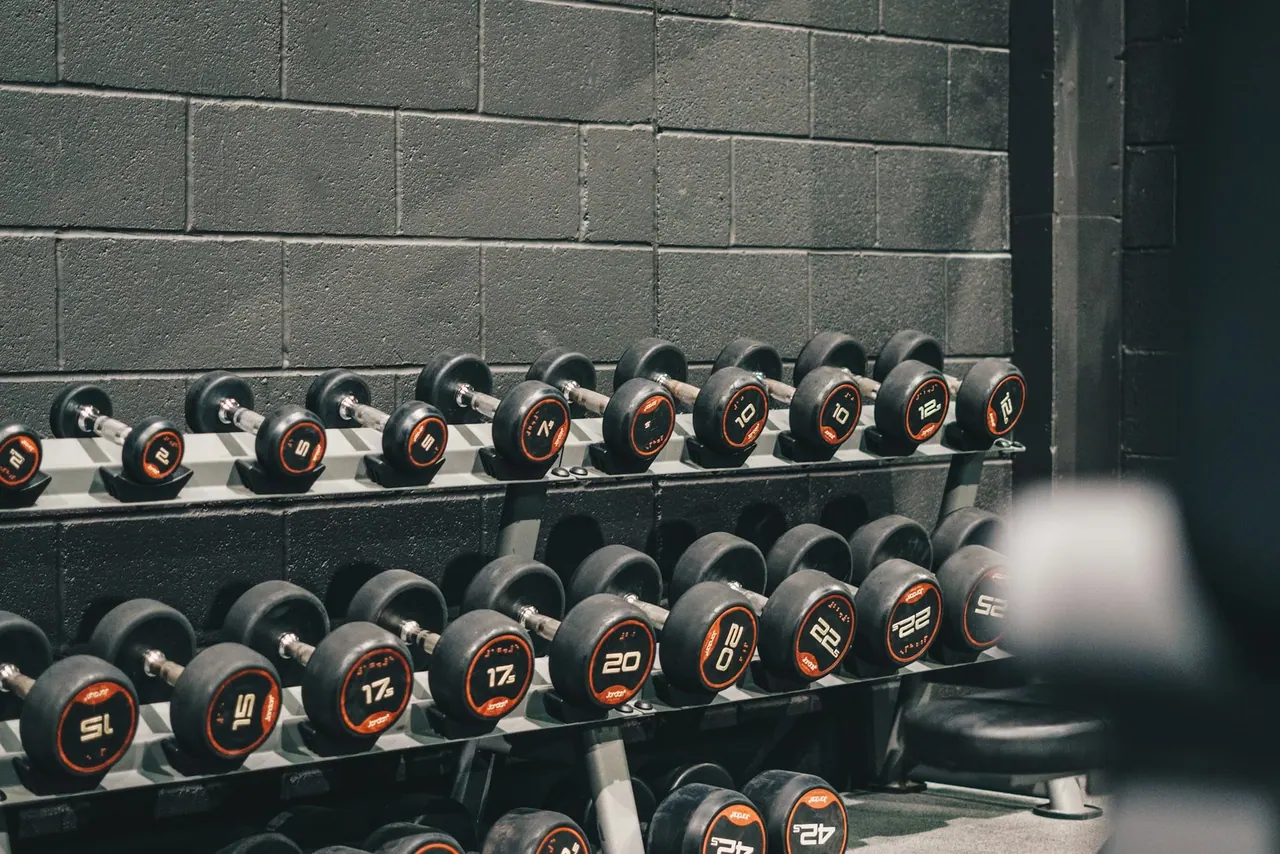 Rows of dumbbells on a rack