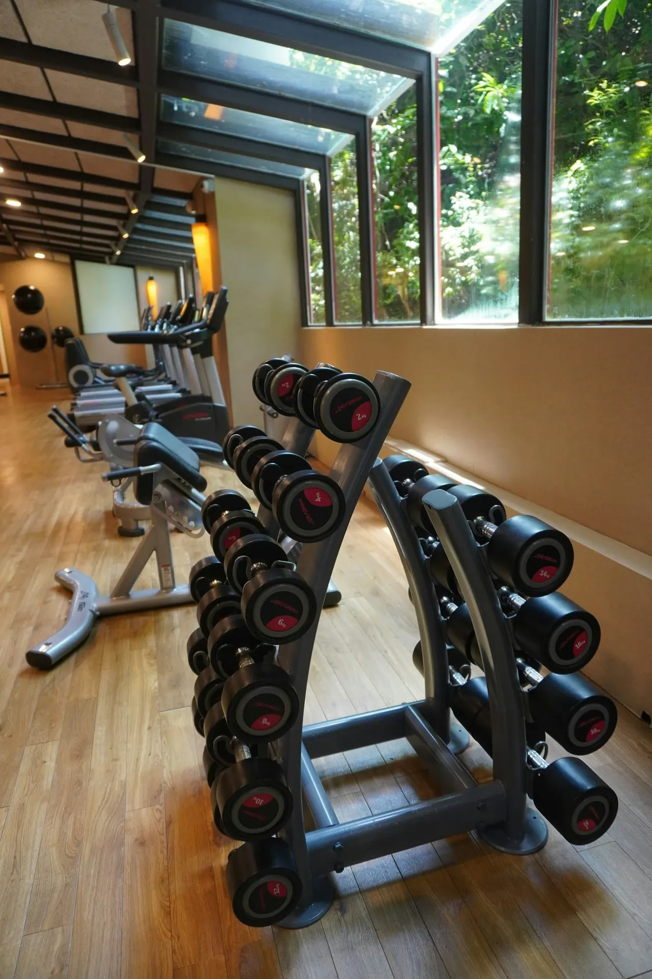 A dumbbell rack by tall windows in the studio
