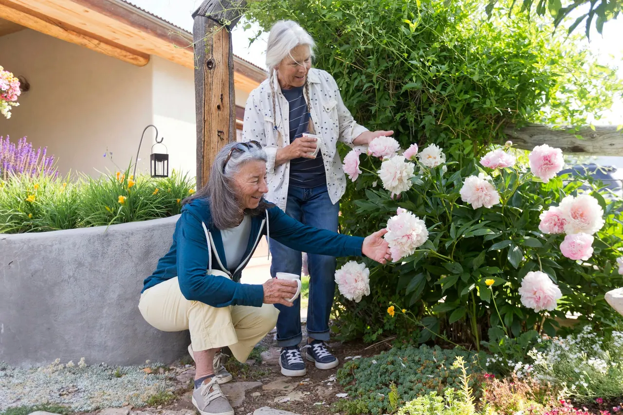 A caregiver and an older woman admiring pink peonies in a sunny garden