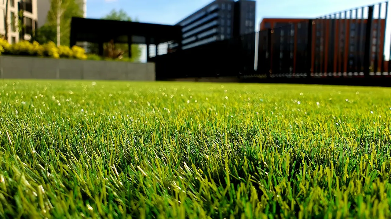 Close up of thick, freshly laid green turf