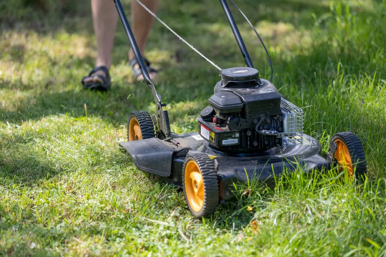 A push mower on fresh green grass