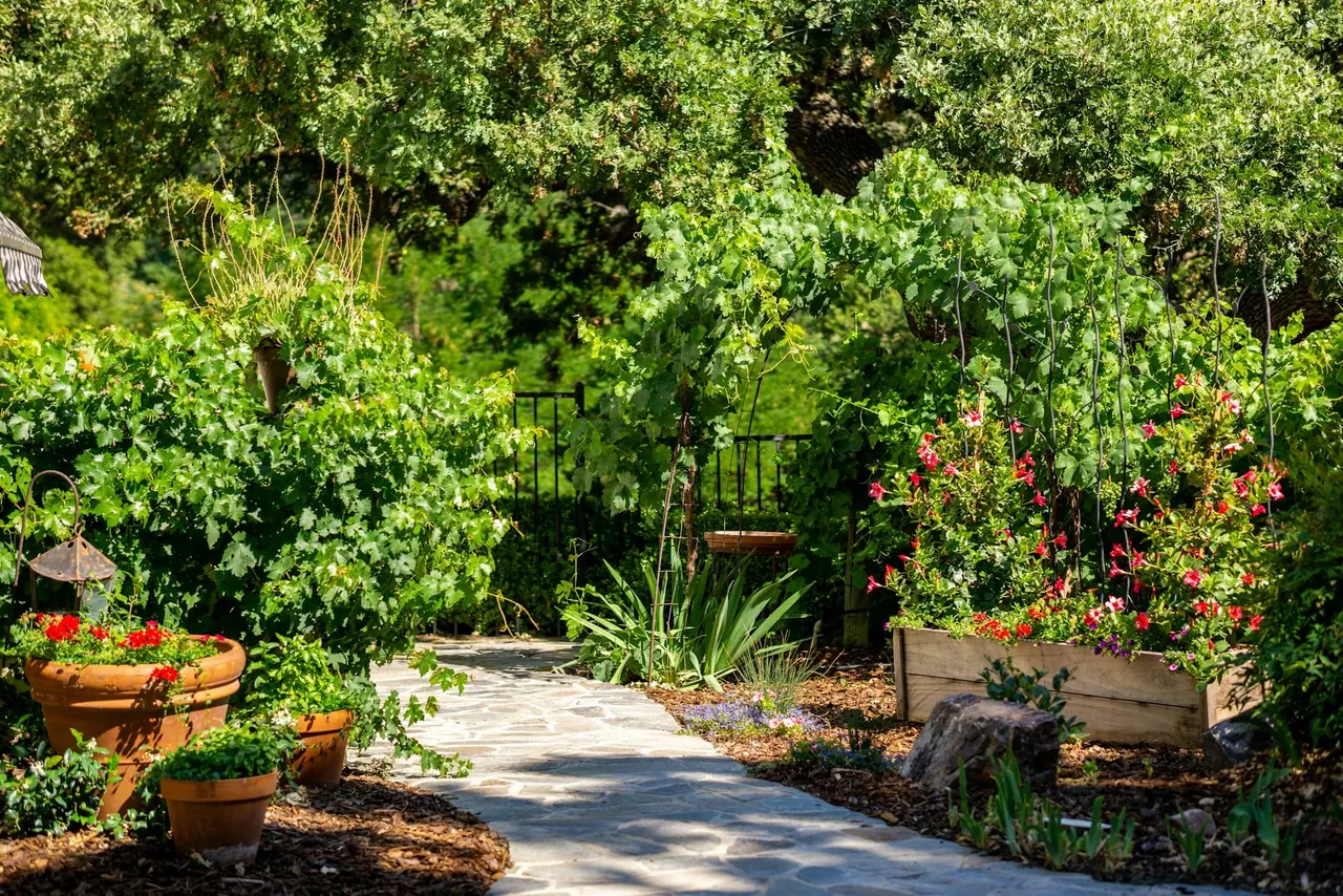 A lush planted garden with a stone path, flowering shrubs and planters