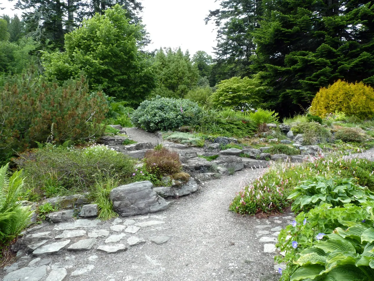 A winding gravel path with stone edging through layered planting