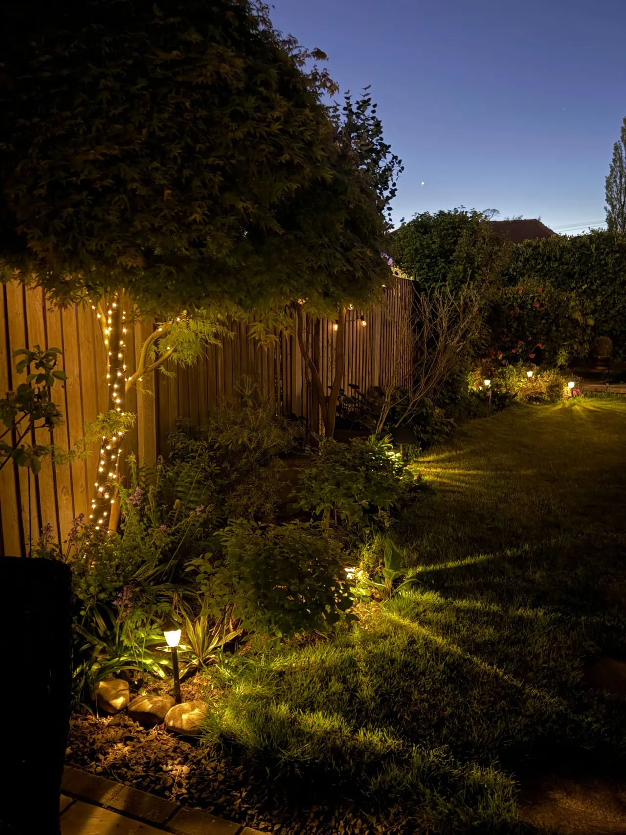 A backyard garden at dusk, lit by path lights and fairy lights wound around a tree