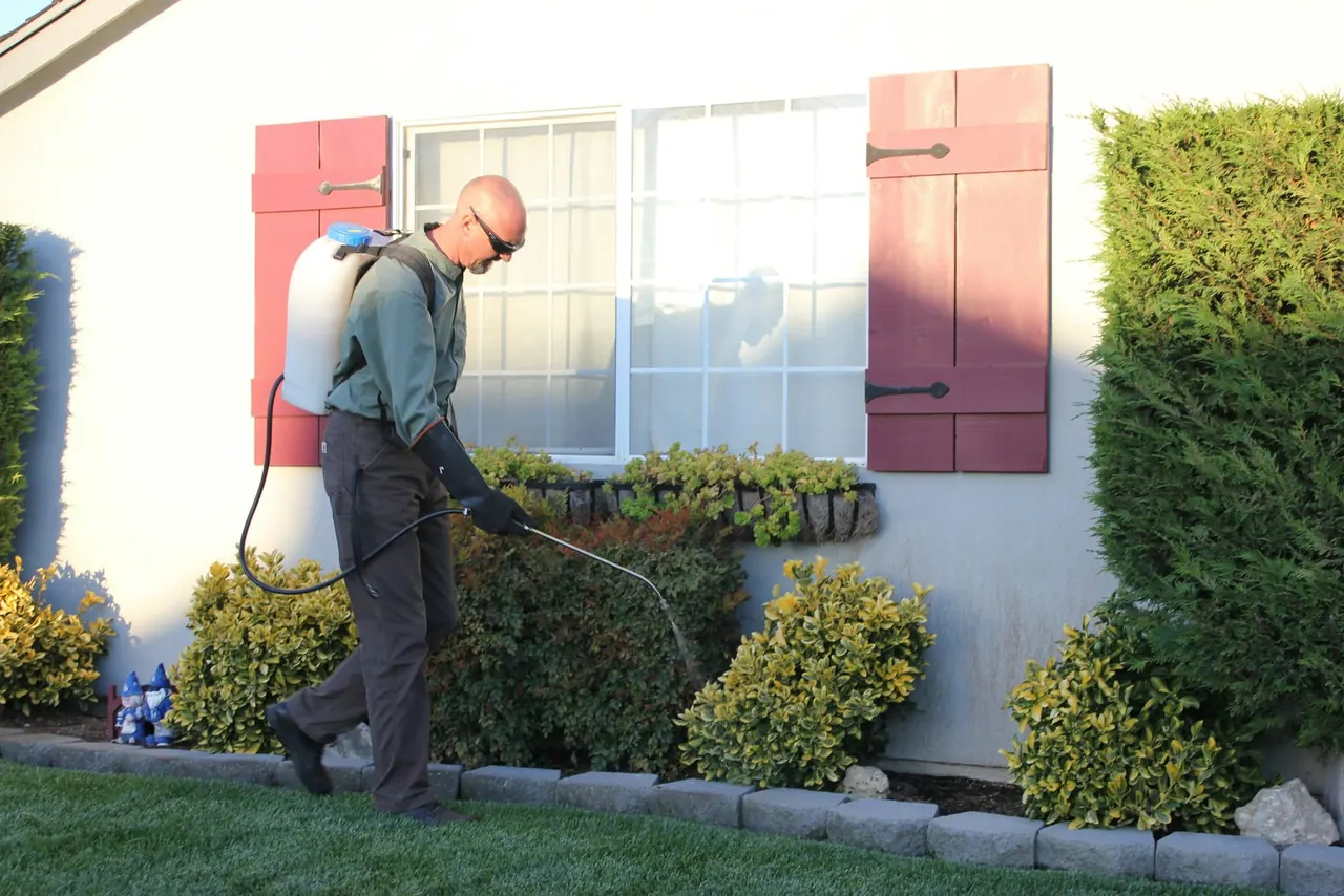 An Ironwood technician with a backpack sprayer treating the shrubs along the front of a house