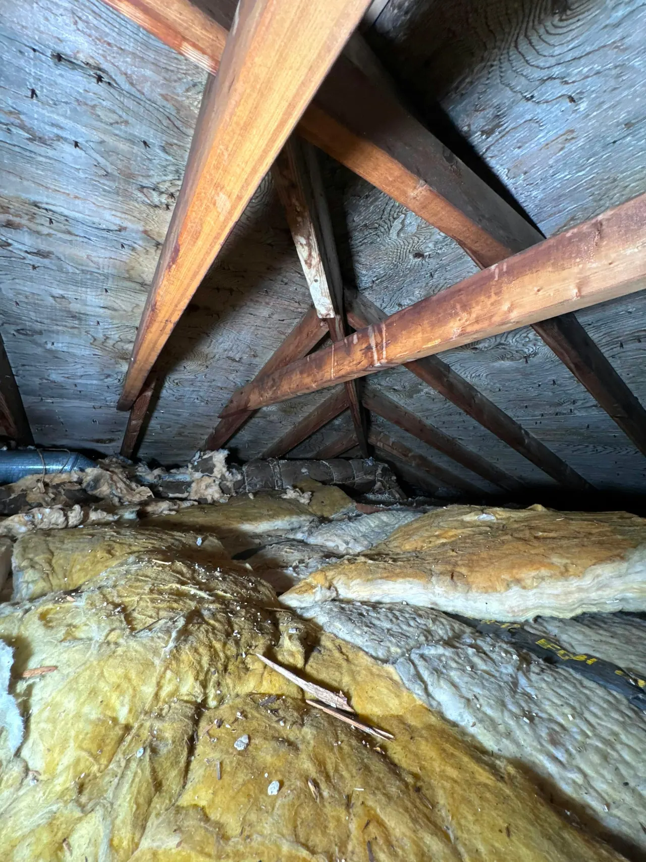Attic rafters above a layer of insulation