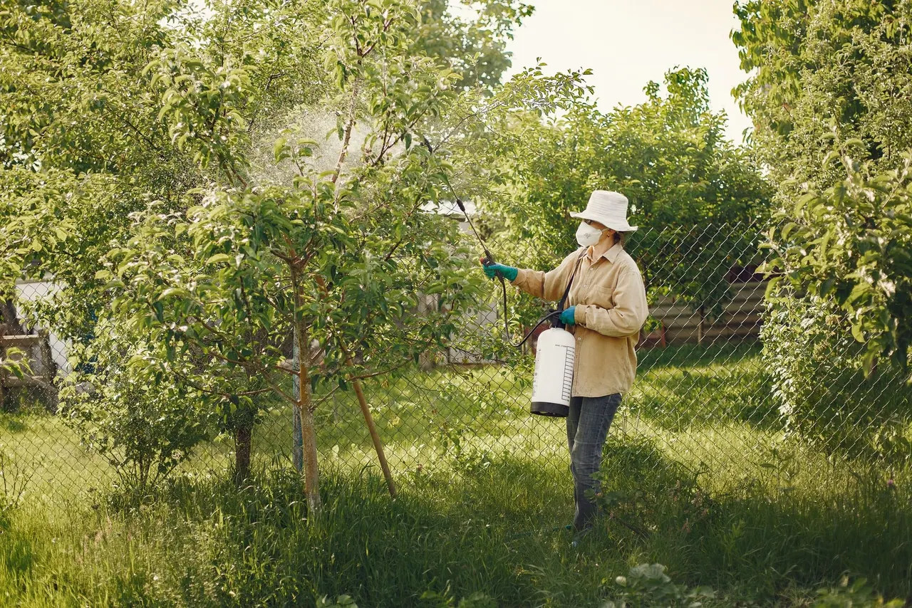 A Fieldstone technician in a sun hat treating young fruit trees in a sunny garden