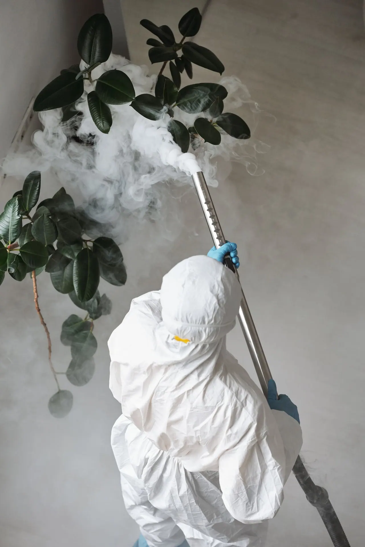 A technician in a white protective suit treating indoor plants