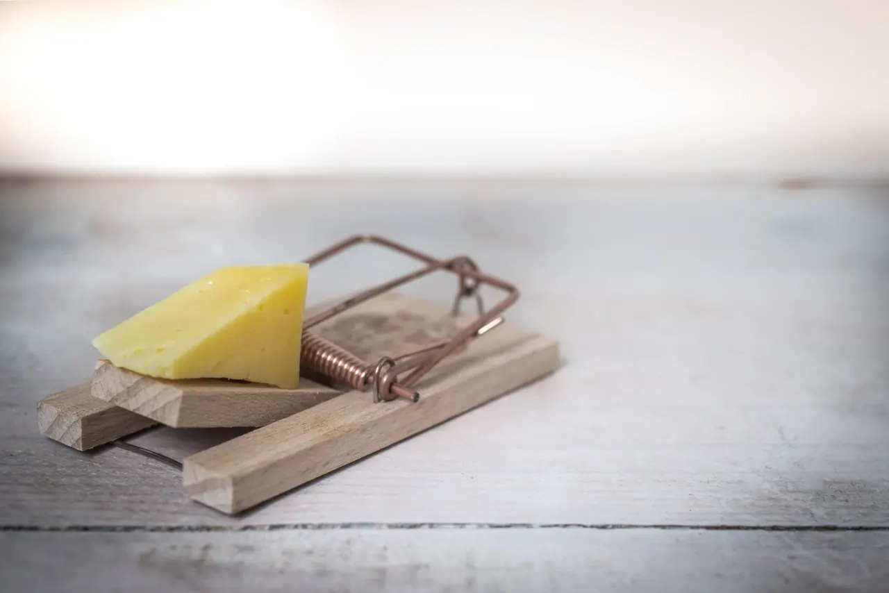 A wooden mouse trap with a piece of cheese