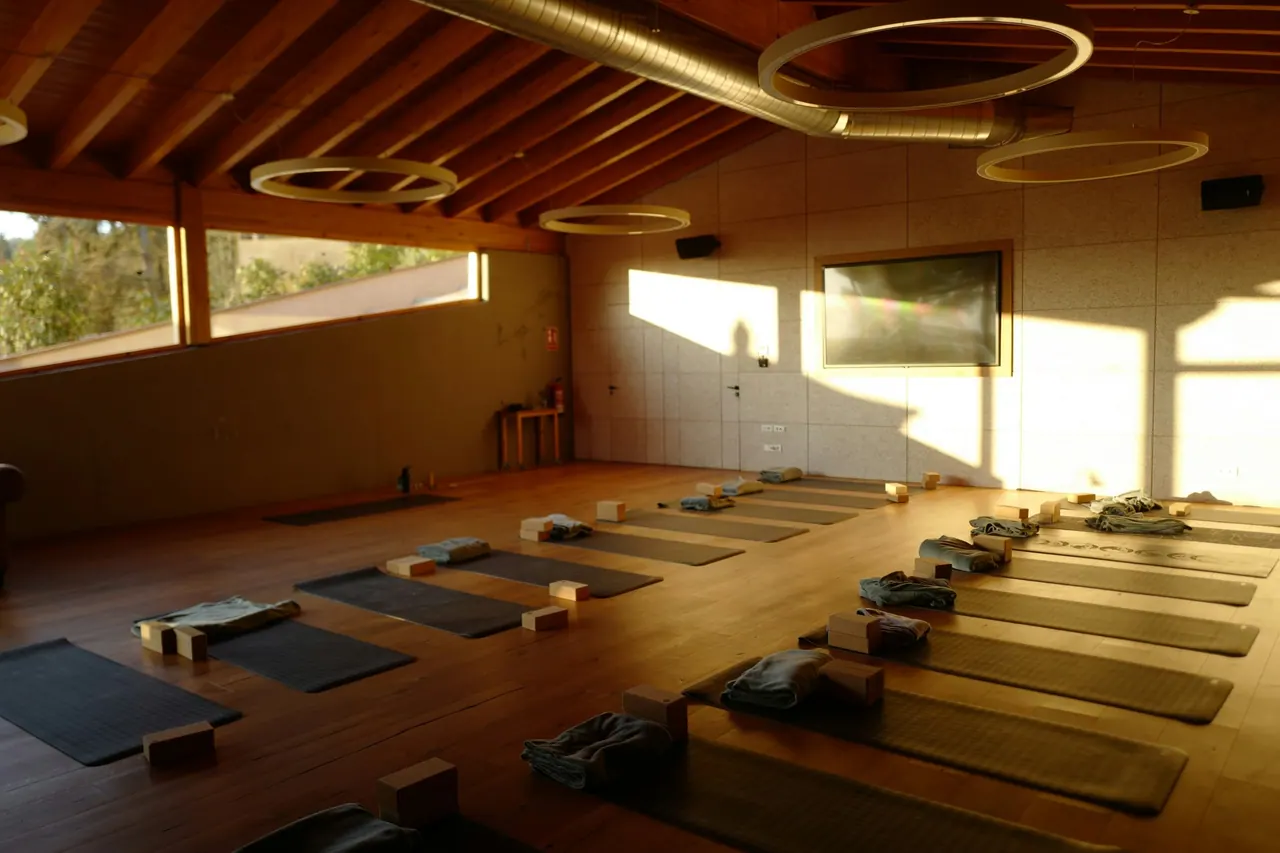 A warm yoga hall set with mats and blocks in late sunlight
