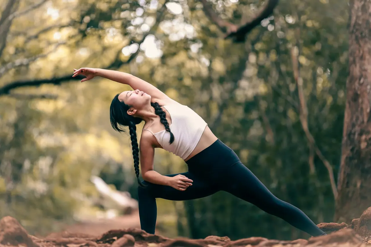 A side angle stretch among trees in warm forest light