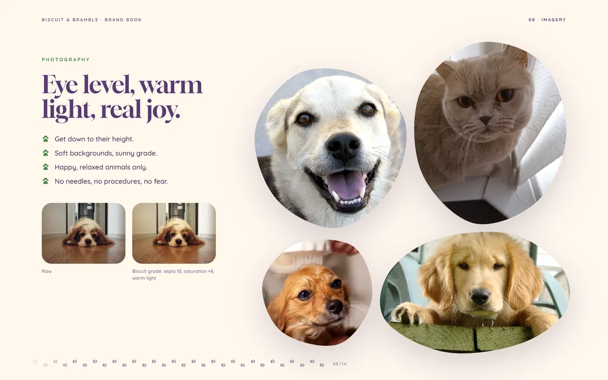 Biscuit & Bramble brand book, Imagery